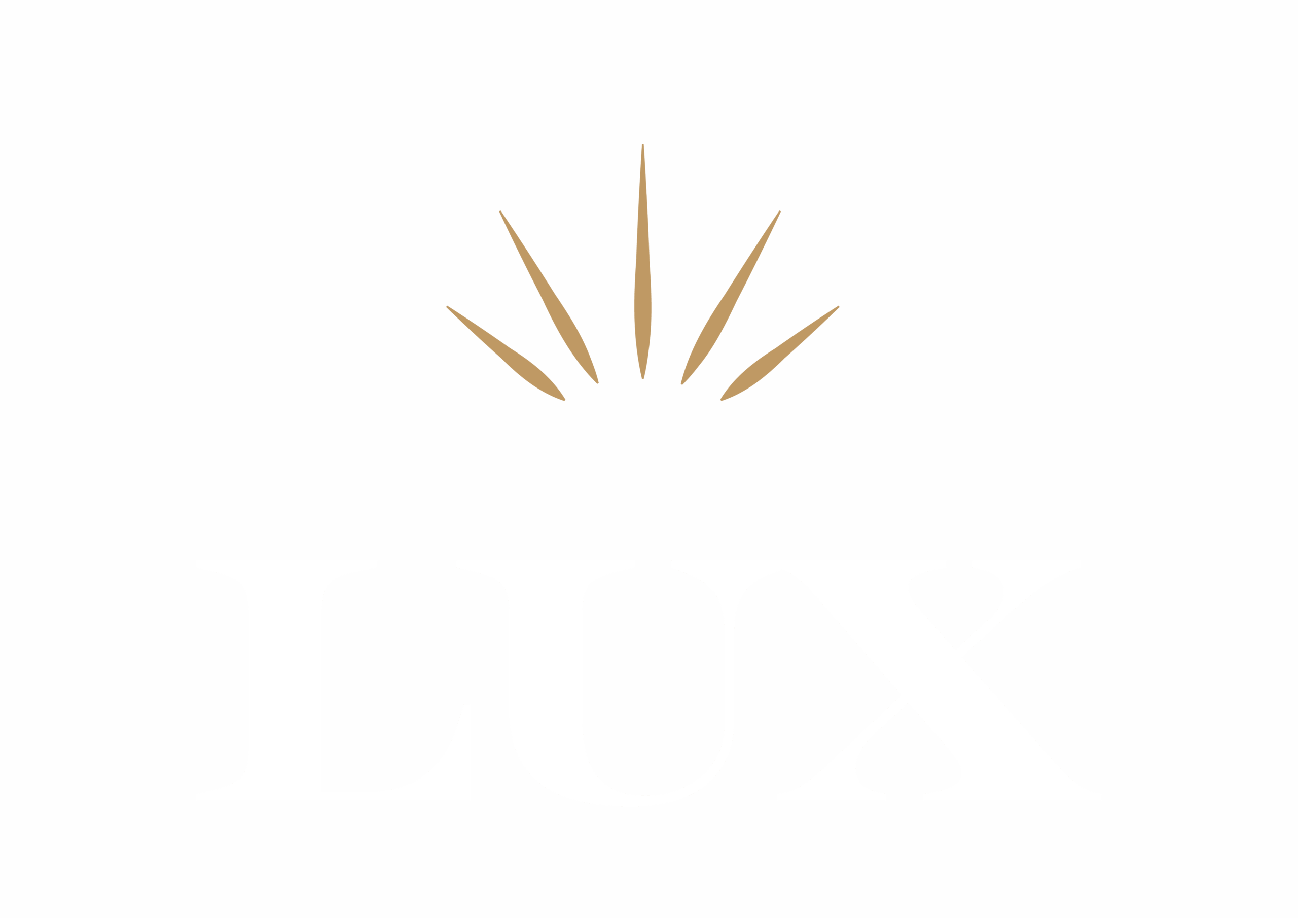 LUX Networking & Entertainment